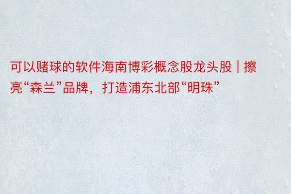 可以赌球的软件海南博彩概念股龙头股 | 擦亮“森兰”品牌，打造浦东北部“明珠”