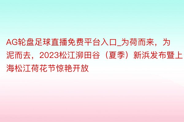 AG轮盘足球直播免费平台入口_为荷而来，为泥而去，2023松江泖田谷（夏季）新浜发布暨上海松江荷花节惊艳开放