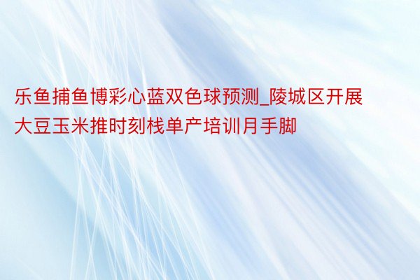 乐鱼捕鱼博彩心蓝双色球预测_陵城区开展大豆玉米推时刻栈单产培训月手脚