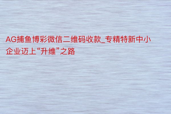 AG捕鱼博彩微信二维码收款_专精特新中小企业迈上“升维”之路