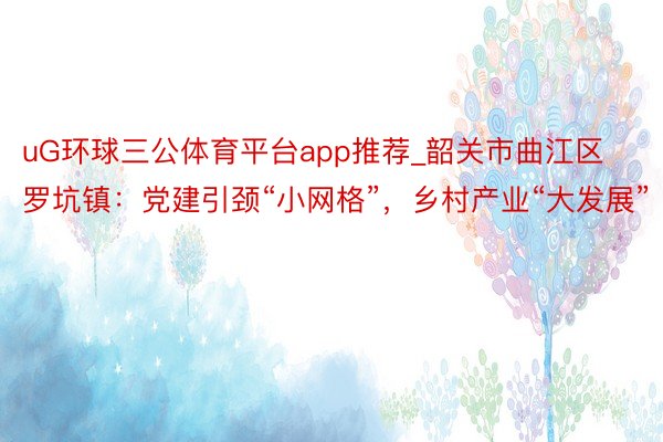 uG环球三公体育平台app推荐_韶关市曲江区罗坑镇：党建引颈“小网格”，乡村产业“大发展”