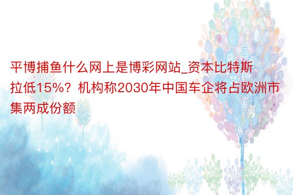 平博捕鱼什么网上是博彩网站_资本比特斯拉低15%？机构称2030年中国车企将占欧洲市集两成份额