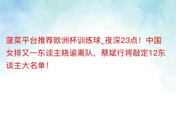 菠菜平台推荐欧洲杯训练球_夜深23点！中国女排又一东谈主晓谕离队，蔡斌行将敲定12东谈主大名单！