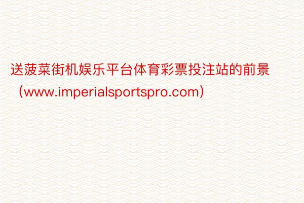 送菠菜街机娱乐平台体育彩票投注站的前景（www.imperialsportspro.com）