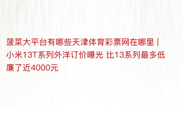 菠菜大平台有哪些天津体育彩票网在哪里 | 小米13T系列外洋订价曝光 比13系列最多低廉了近4000元